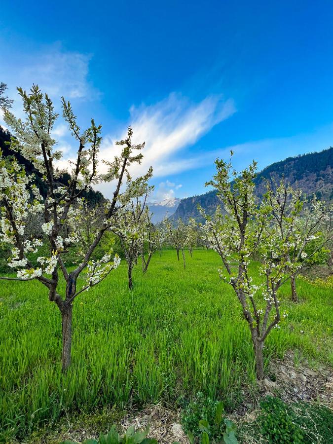 Хостел Yolo Backpackers - Manali Экстерьер фото