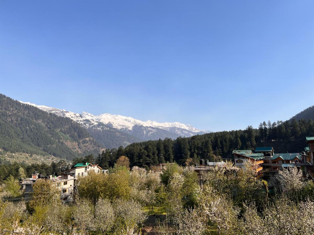 Хостел Yolo Backpackers - Manali Экстерьер фото