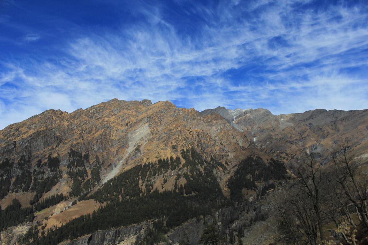 Хостел Yolo Backpackers - Manali Экстерьер фото